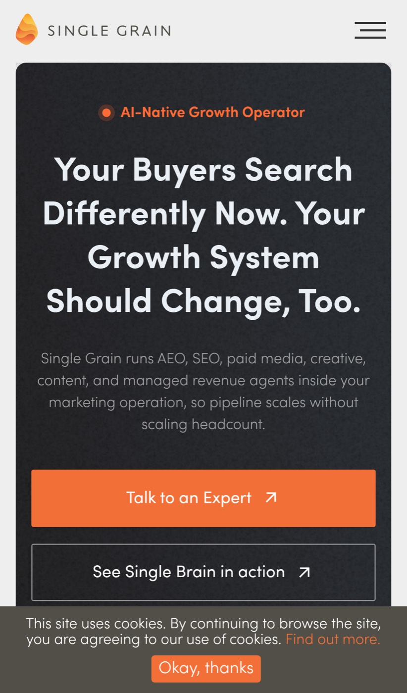 The current mobile homepage, including the opening promise and expert CTA that visitors wait to see.